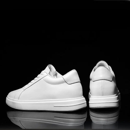 Aurex - 8cm (3")