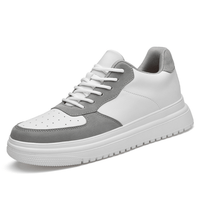 White & Grey