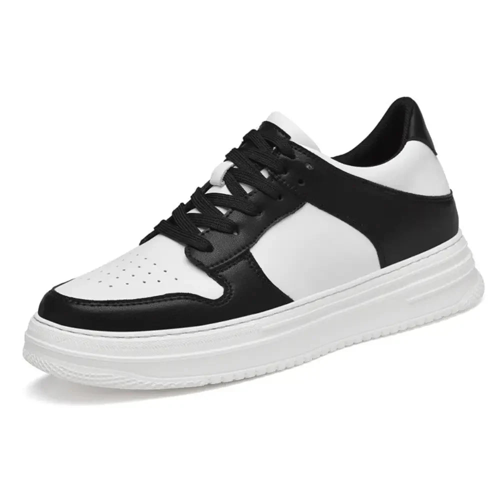 Daxon - 8cm (3")